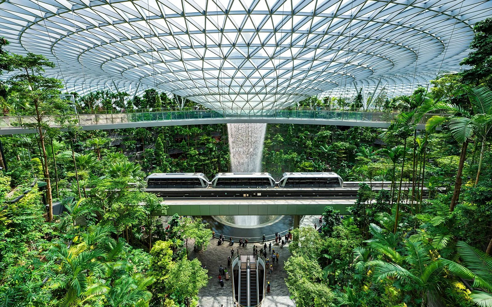 Sân bay Changi (Singapore) được coi là “khu rừng nhiệt đới” giữa quốc đảo Singapore. Ảnh: Matteo Morando/Wikimedia Commons.