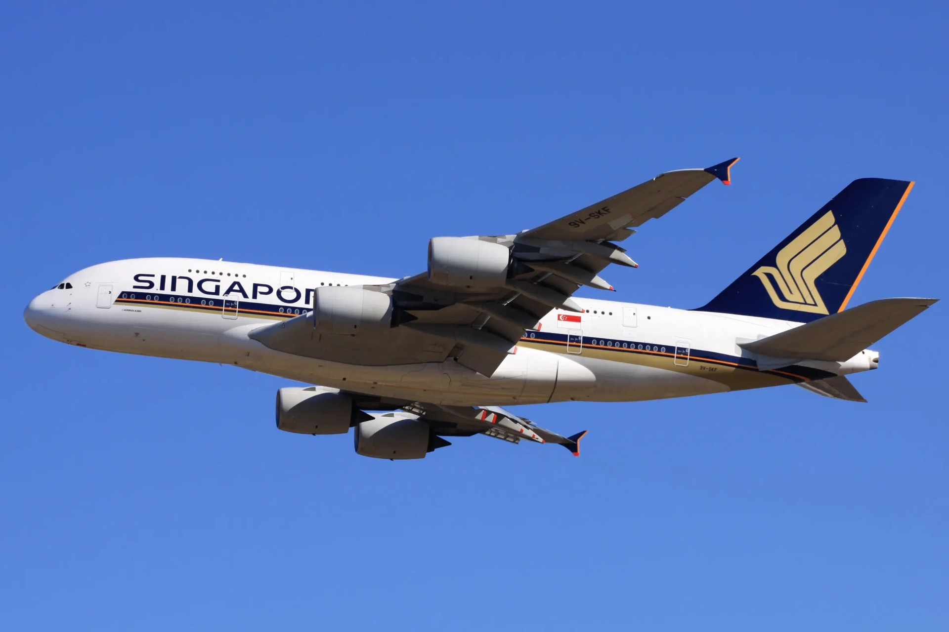 Singapore Airlines là hãng hàng không tốt nhất thế giới năm 2023, theo bình chọn của Skytrax. Ảnh: Kentaro Iemoto.