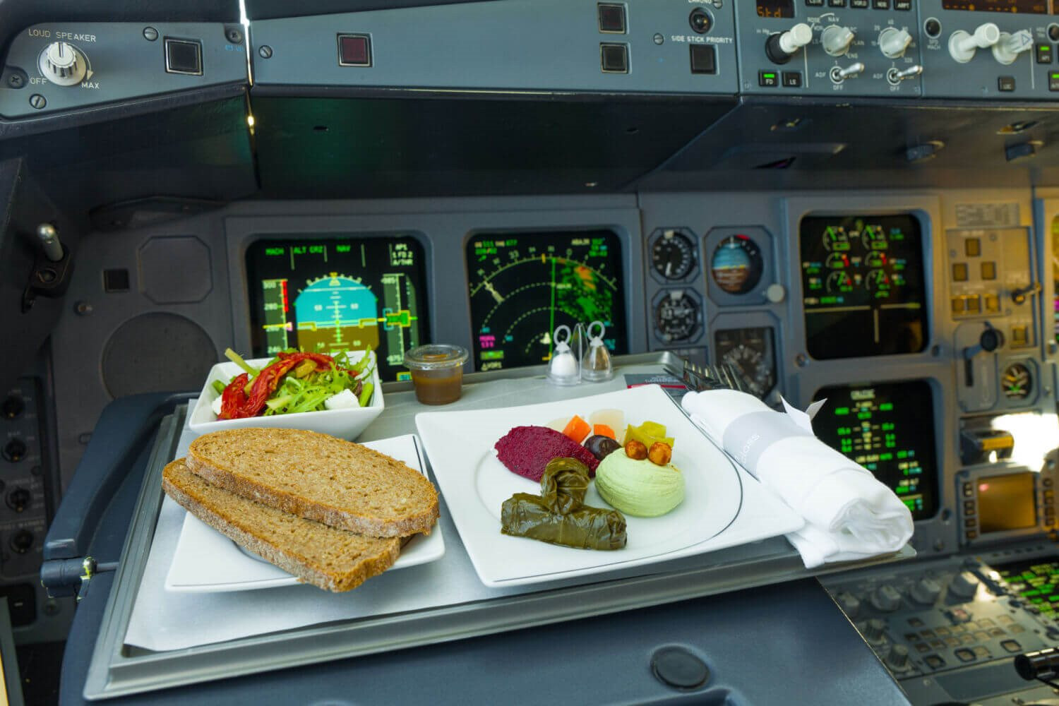 pilot-food.jpg