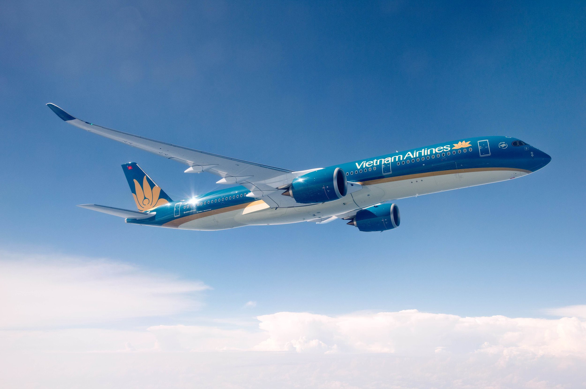 Vietnam Airlines là hãng bay duy nhất của Việt Nam nằm trong danh sách do Cirium công bố. Ảnh: Vietnam Airlines.