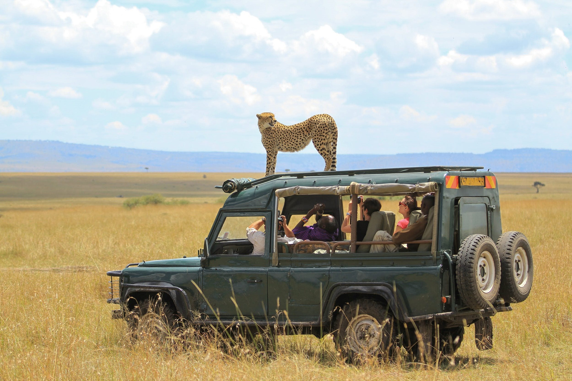 masai-mara-shutterstockrf_778811002-1.jpg