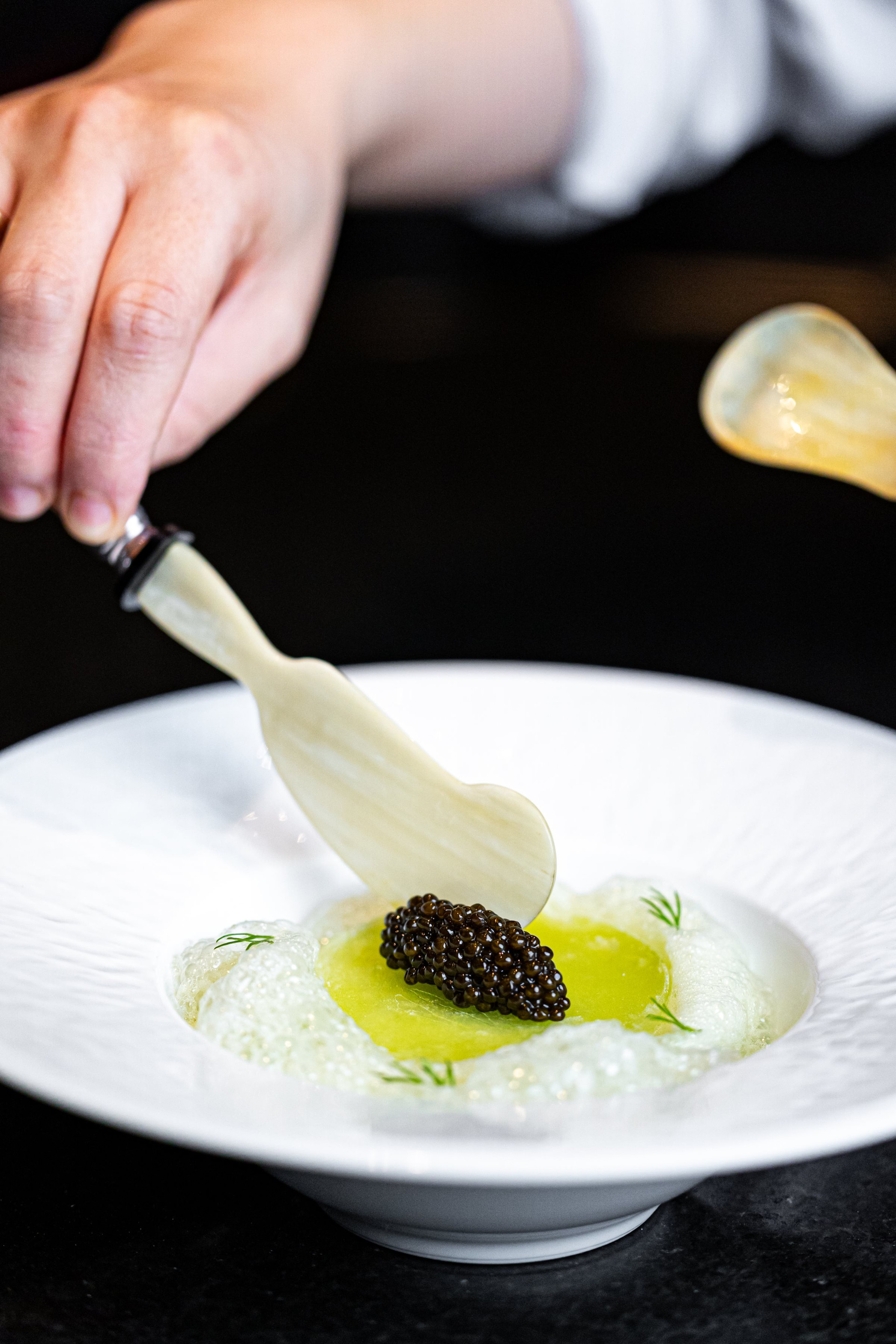 blue-crab-meat-refreshed-with-thin-slice-of-lady-trieu-gin-with-lime-mayonnaise-cucumber-dill-mousse-and-kristal-caviar-1719482652.jpg