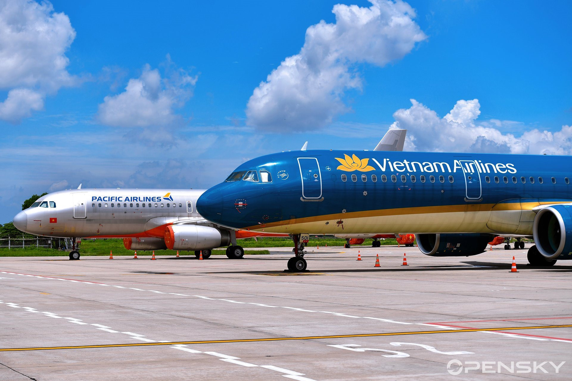 Bản thân Vietnam Airlines cũng đã nỗ lực để tự cứu mình.