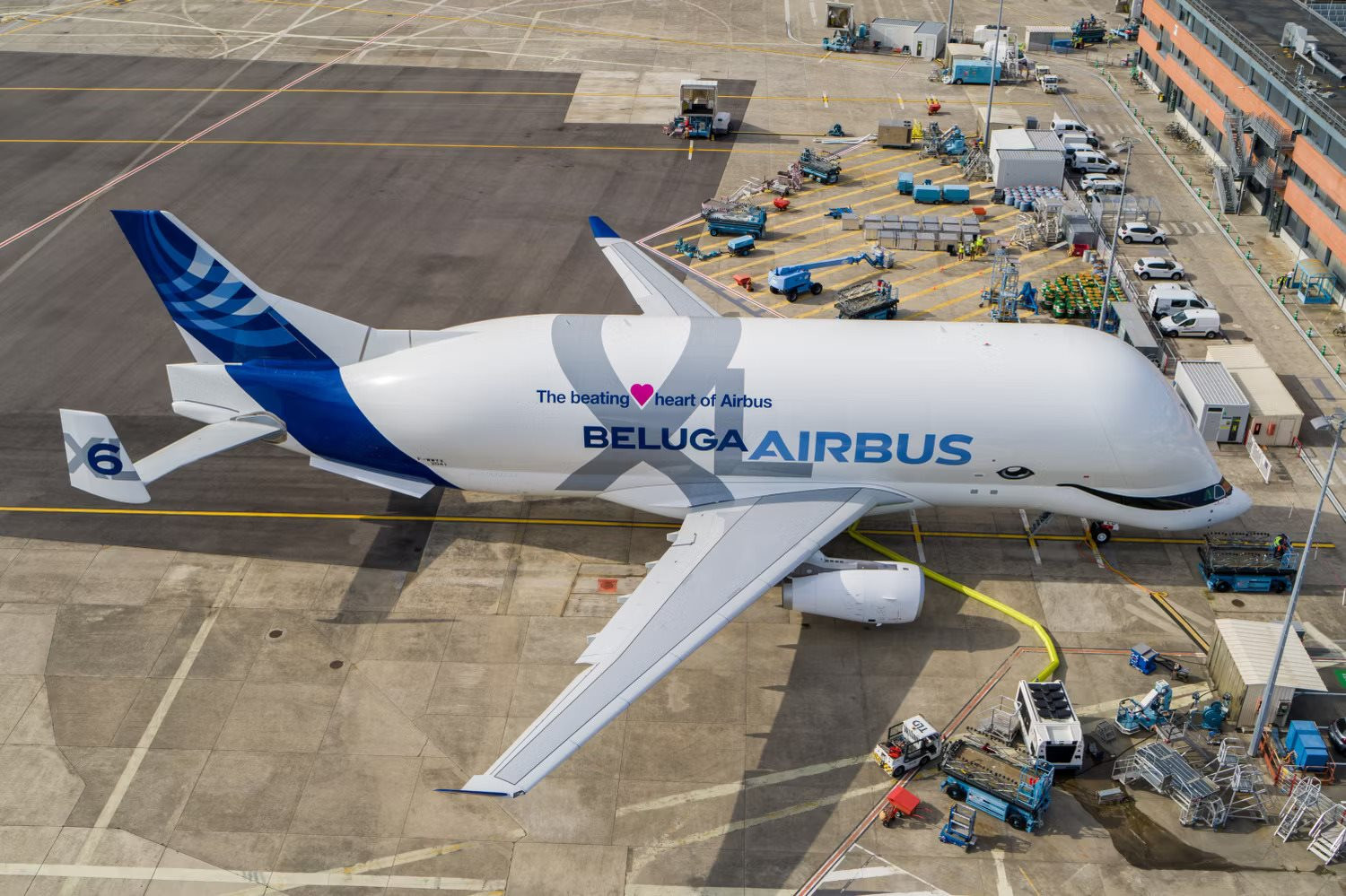 beluga-xl-6-on-ground-top-view.jpg