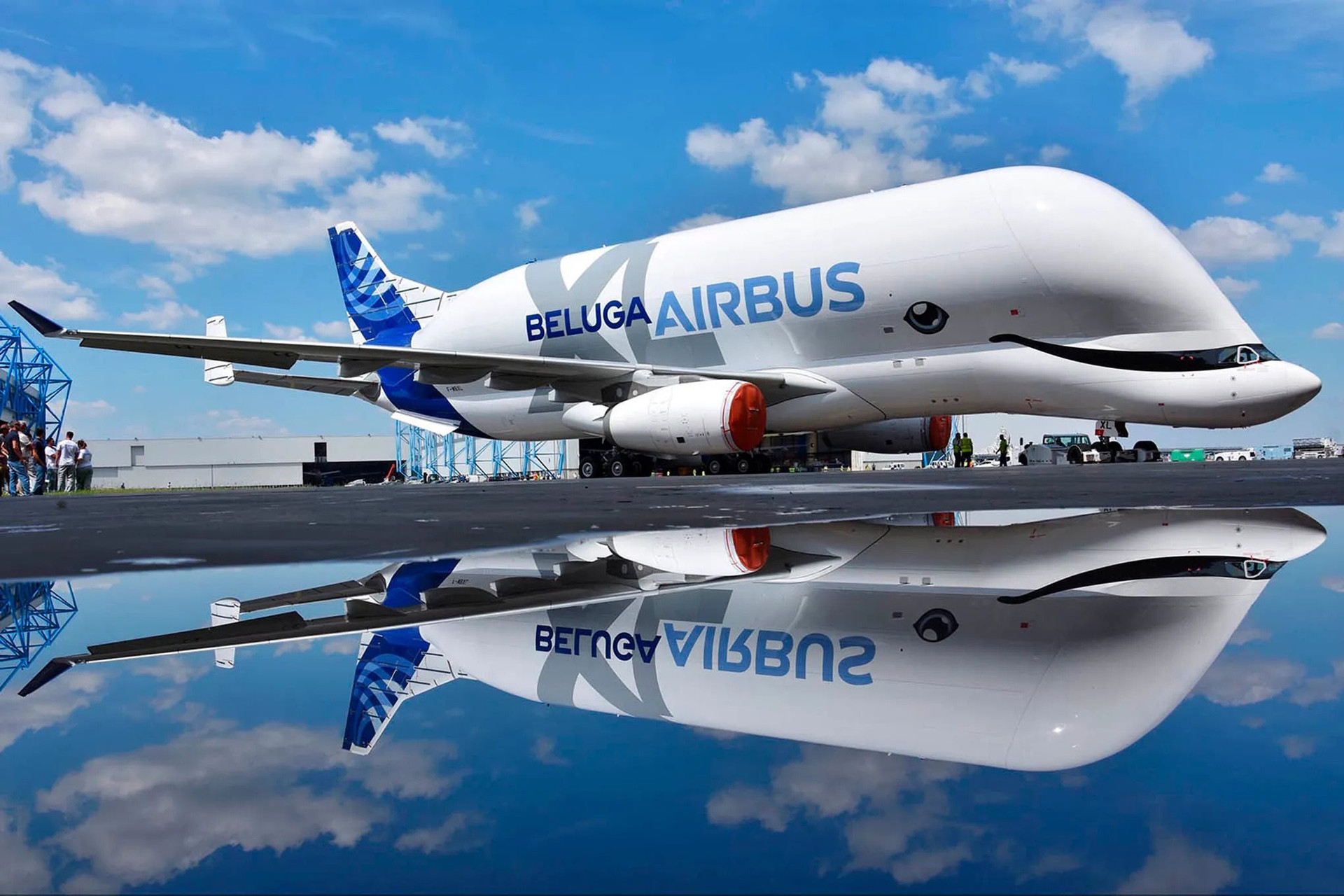 france_airbus_belugaxl_72046.jpg