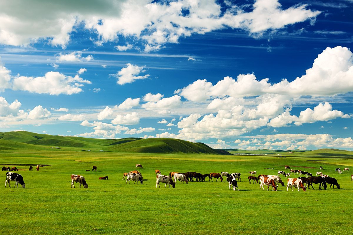 travel-to-inner-mongolia.jpeg