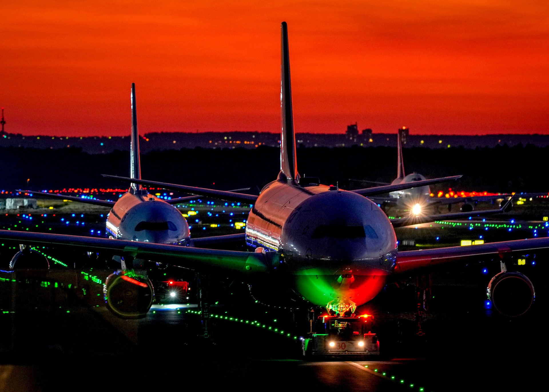 germany_airport_dormouse_06455-2.jpg