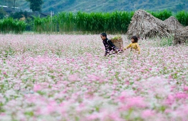 ha giang