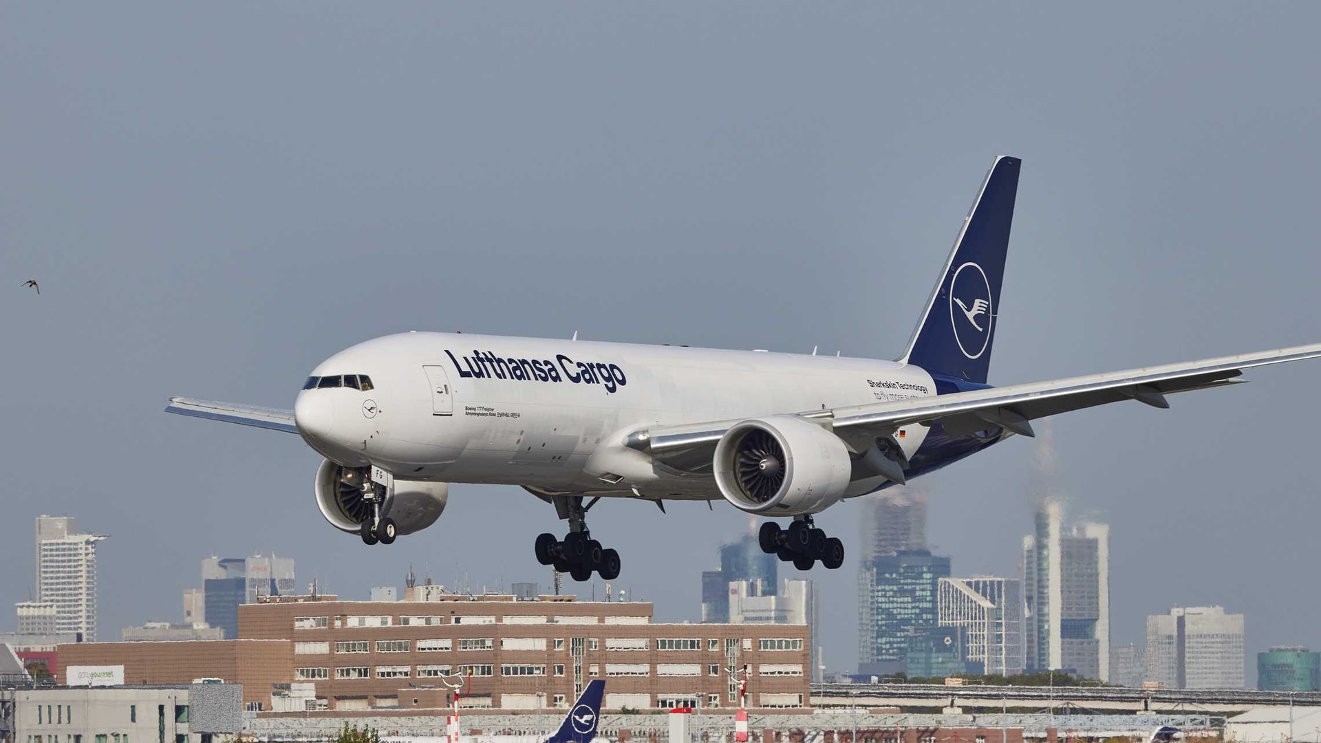 lufthansa-cargo-boeing-777f-d-alfg.jpg