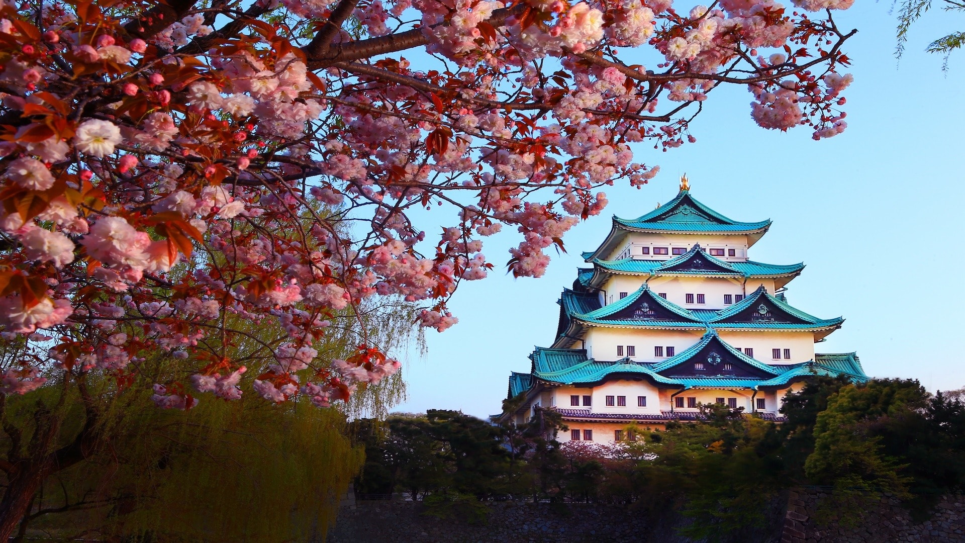 featured-image-nagoya-castle-and-cherry-blossom-season-nagoya-japan.jpg