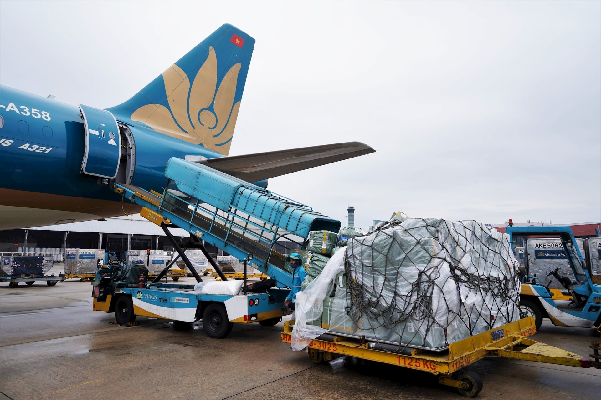 Vận tải hàng hóa của Vietnam Airlines cũng ghi nhận kết quả tích cực trong 3 tháng đàu năm nay, với doanh thu ba tháng đầu năm 2025 vượt kế hoạch hơn 220 tỷ đồng. Ảnh: VNA.