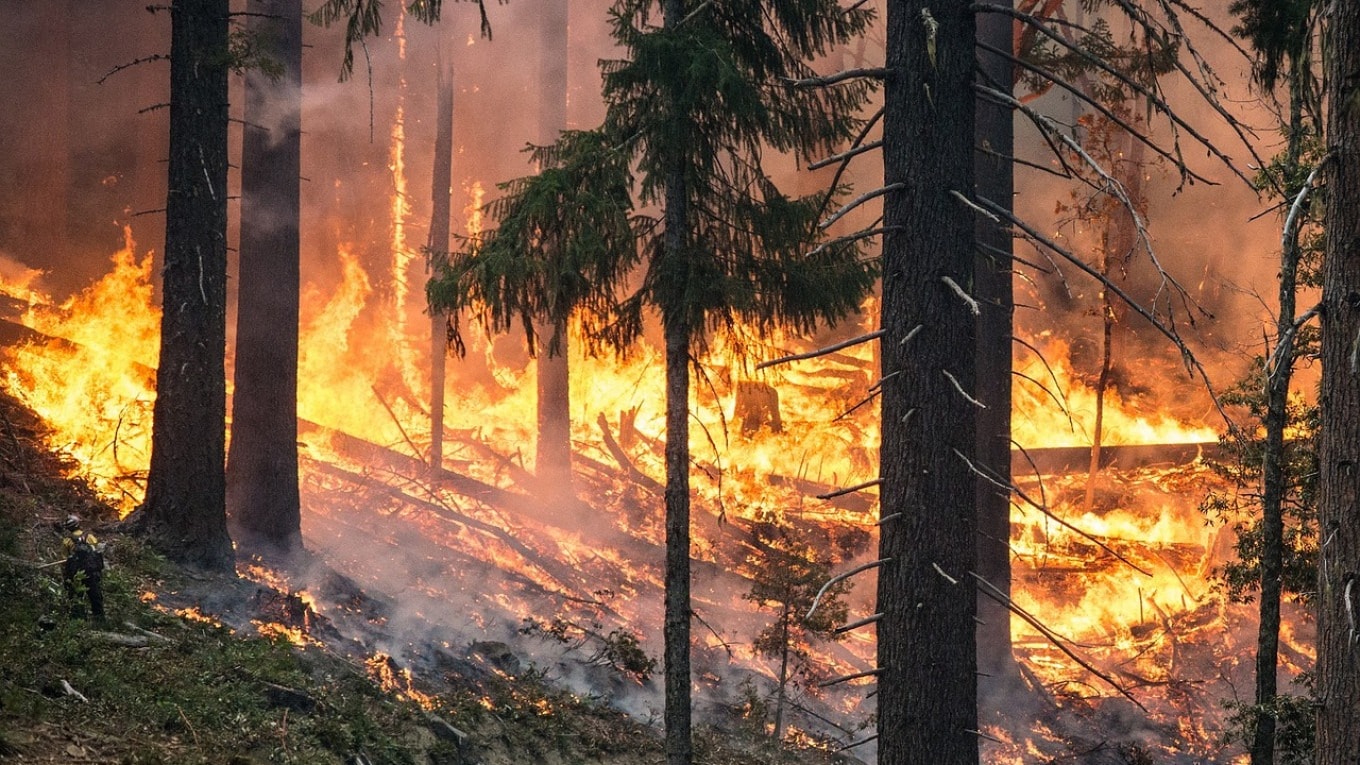 russia-fires.jpg