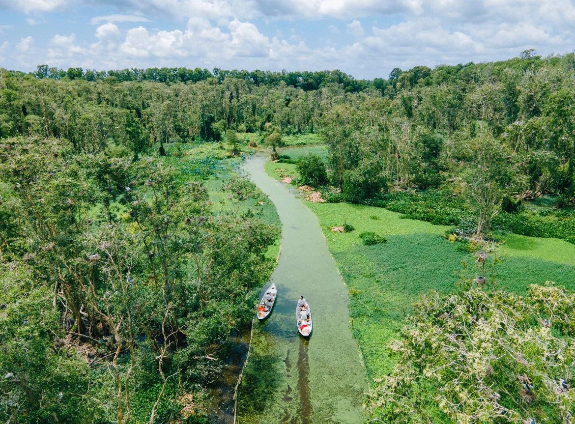 Một góc rừng tràm Trà Sư nhìn từ trên cao. (Ảnh: Trasu Tourist Area)