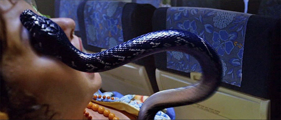 snakesonaplane8.jpg