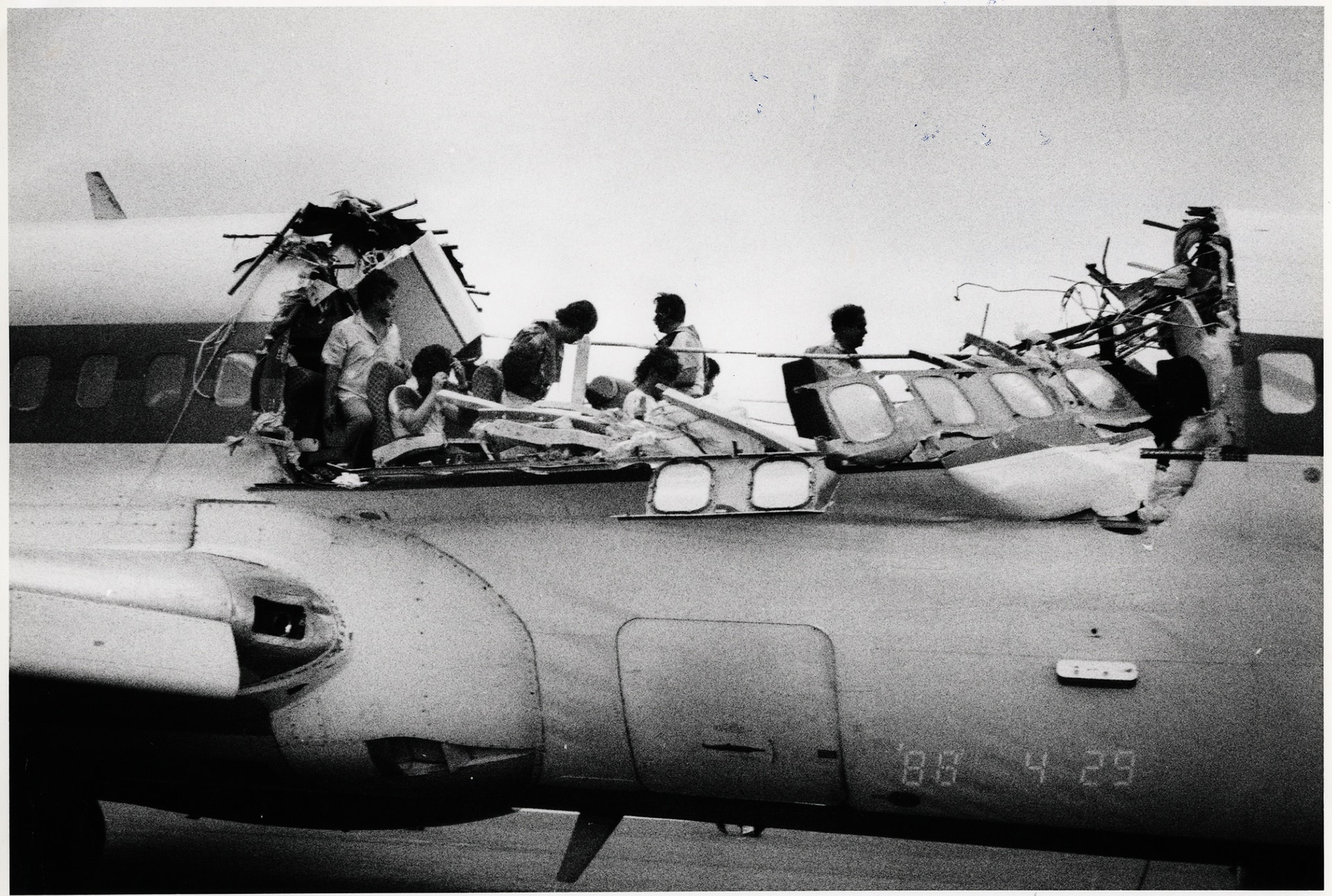aloha-243-11.jpg