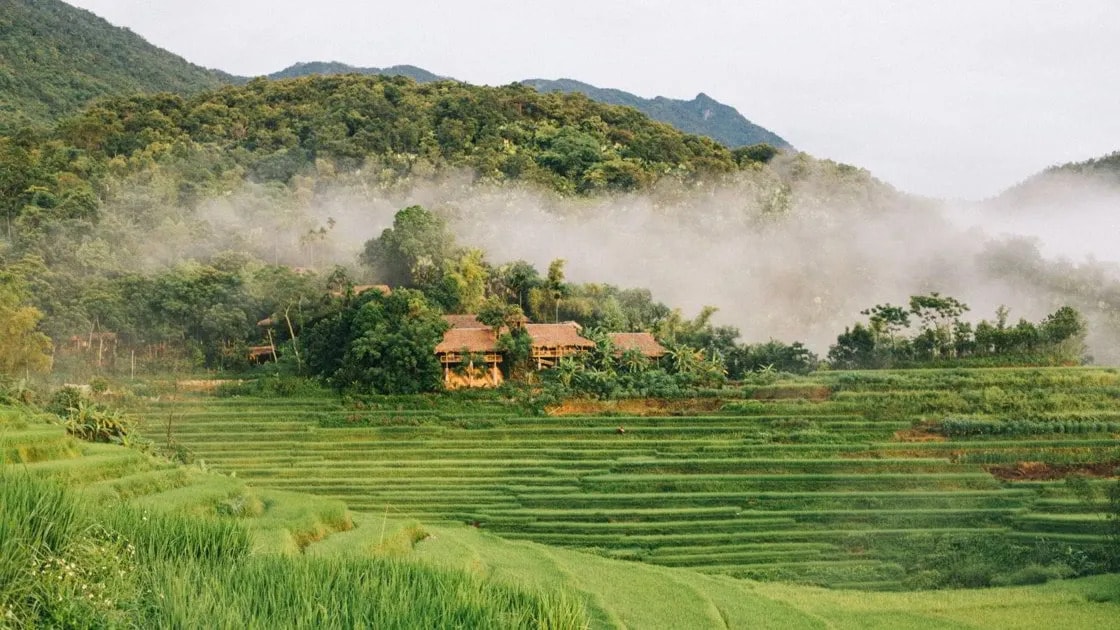 ban-kho-muong-1.jpg