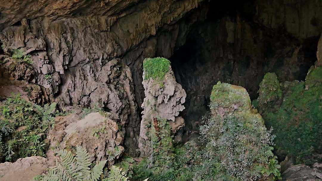 hang dơi 2