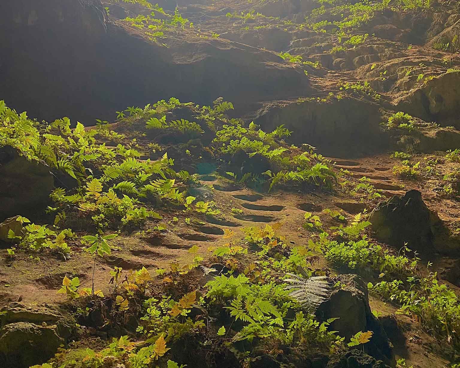 hang-doi-kho-muong-thanh-hoa-6.jpg
