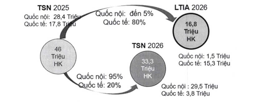 p2.jpg