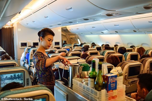 Bunnik praised carriers such as Singapore Airlines (pictured), Emirates, Qatar and Qantas, all of which provide passengers in economy with a 'comfortable seat, good entertainment system, and snacks and water'