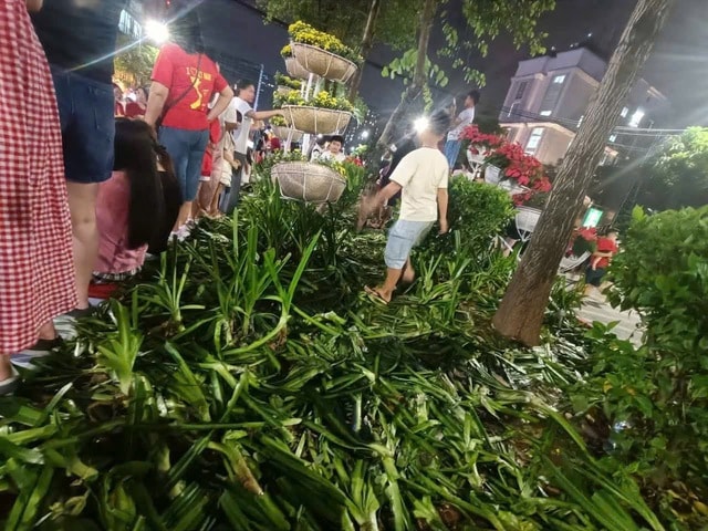 Những người thiếu ý thức giẫm đạp luống hoa tan hoang ẢNH: CAHN
