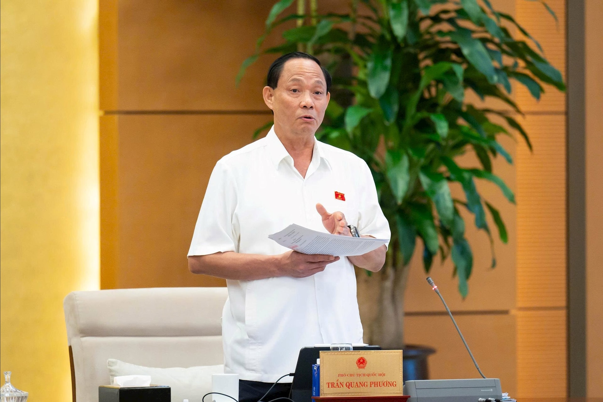 Phó Chủ tịch Quốc hội, Thượng tướng Trần Quang Phương nêu quan điểm tại phiên họp.