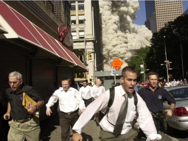 291.png