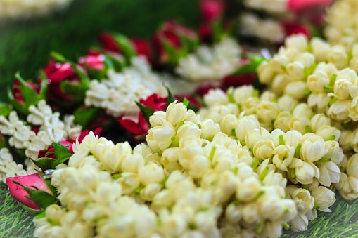istockphoto-904654458-170667a.jpg