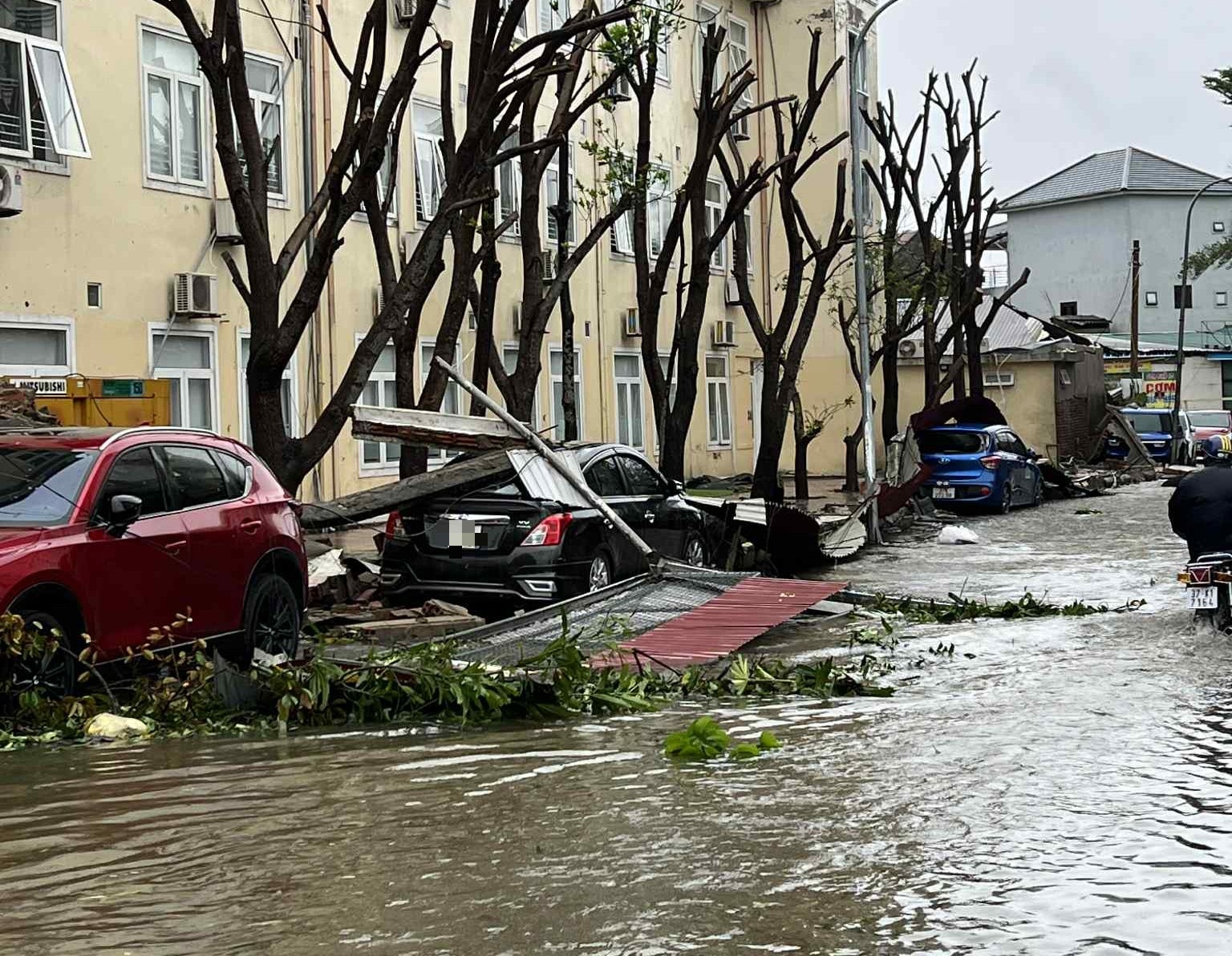 Thiệt hại do bão