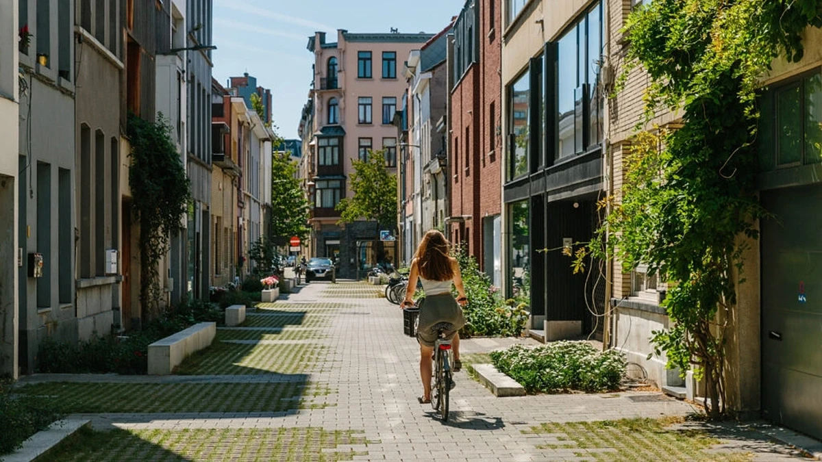 borgerhoutjeroenbroeckx.webp