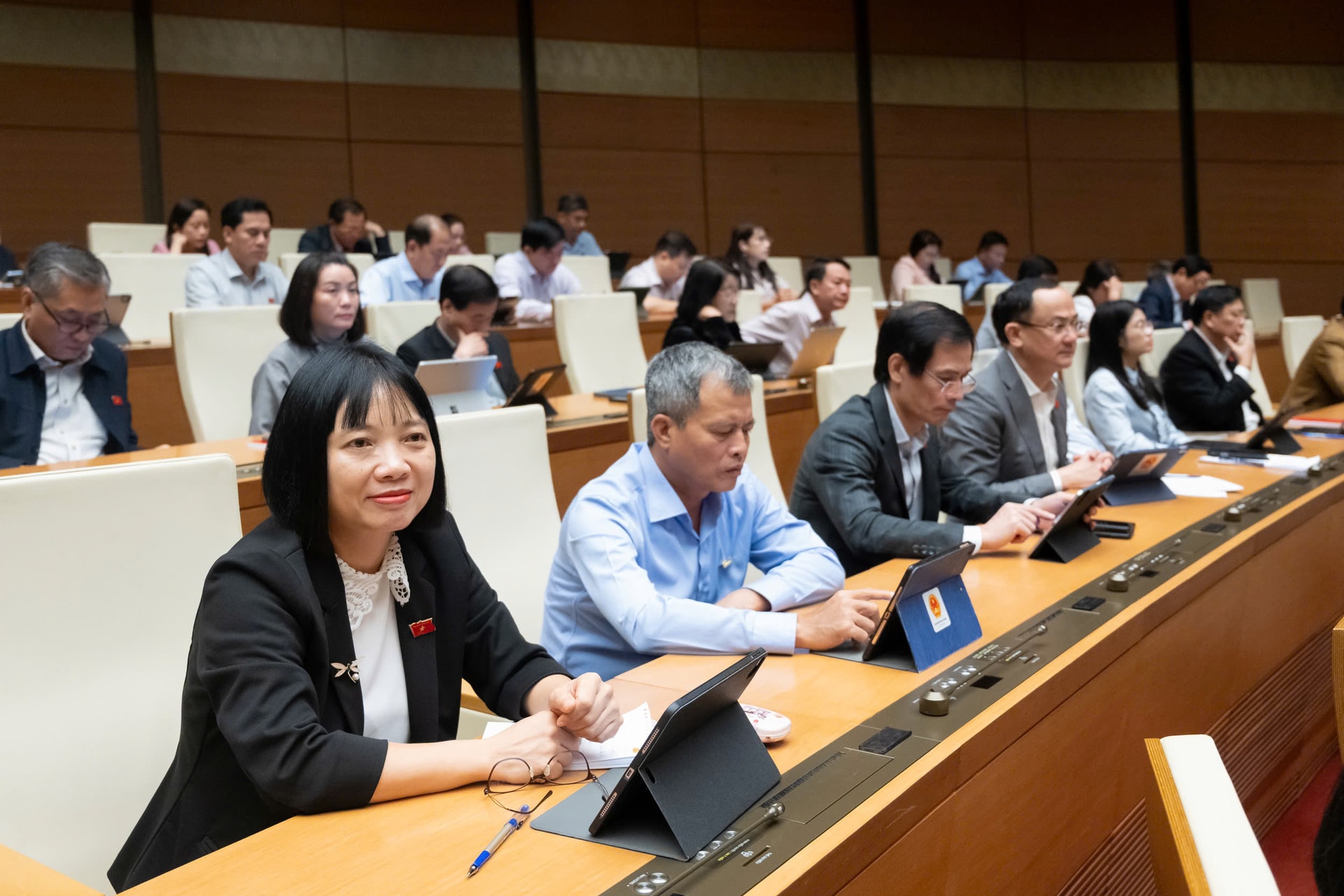 đại bieetu tham gia phiên họp