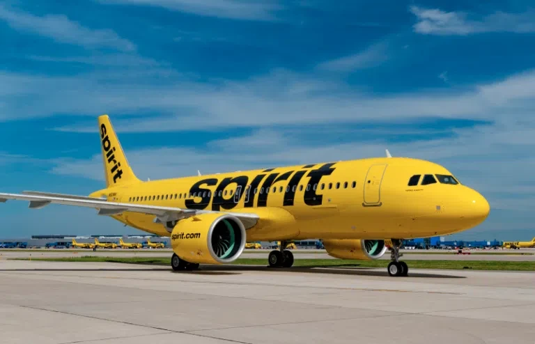 screenshot-plane-2026-01-15-768x494.png.webp