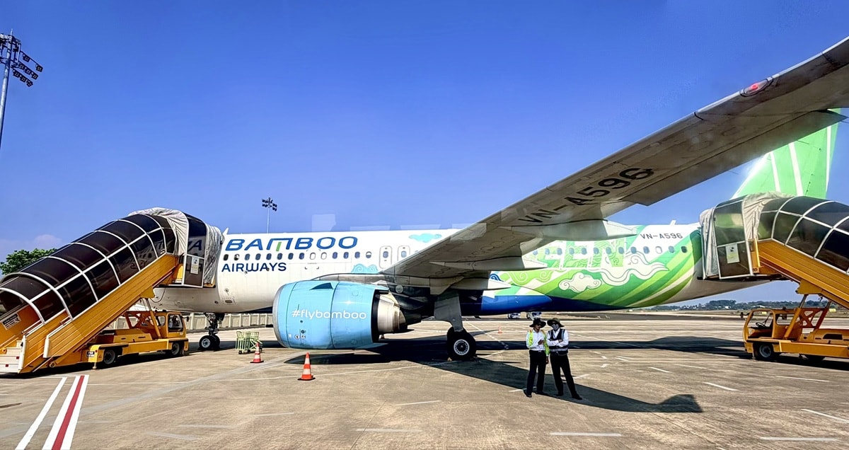 flc va bamboo