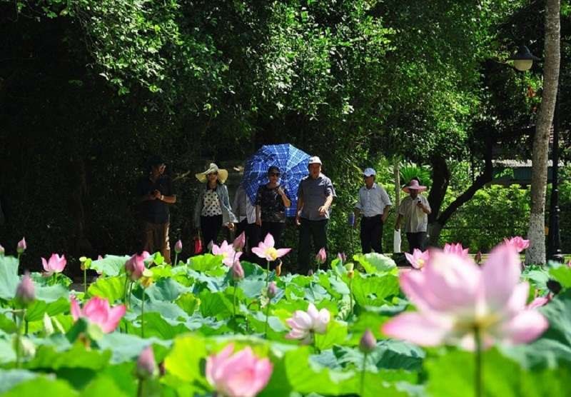 ik.imagekit.io-tvlk-blog-2023-07-_khu-di-tich-kim-lien-1.jpg