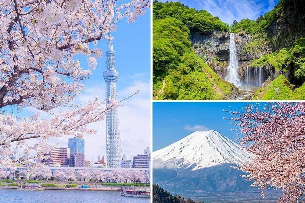 cac-dia-diem-du-lich-noi-tieng-khu-vuc-tokyo-va-vung-kanto.jpeg