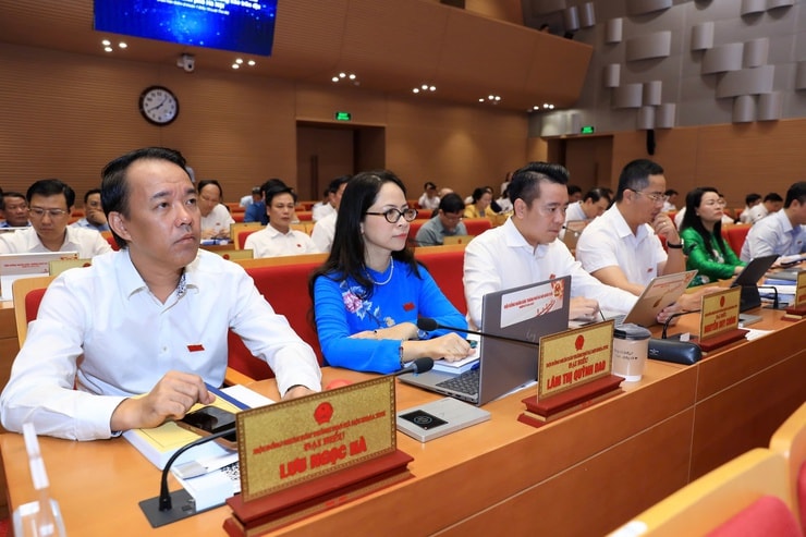 ubnd-hanoi.mediacdn.vn-thumb_w-740-90649499933302784-2026-6-15-_cac-dai-bieu-3-1781515098844987643244.jpg