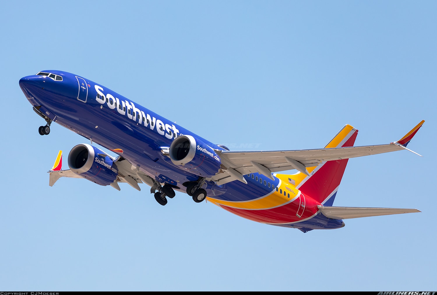 6463497.jpg