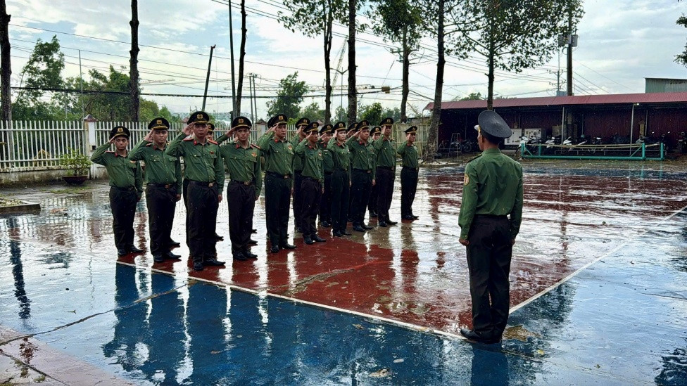 tải xuống (1)