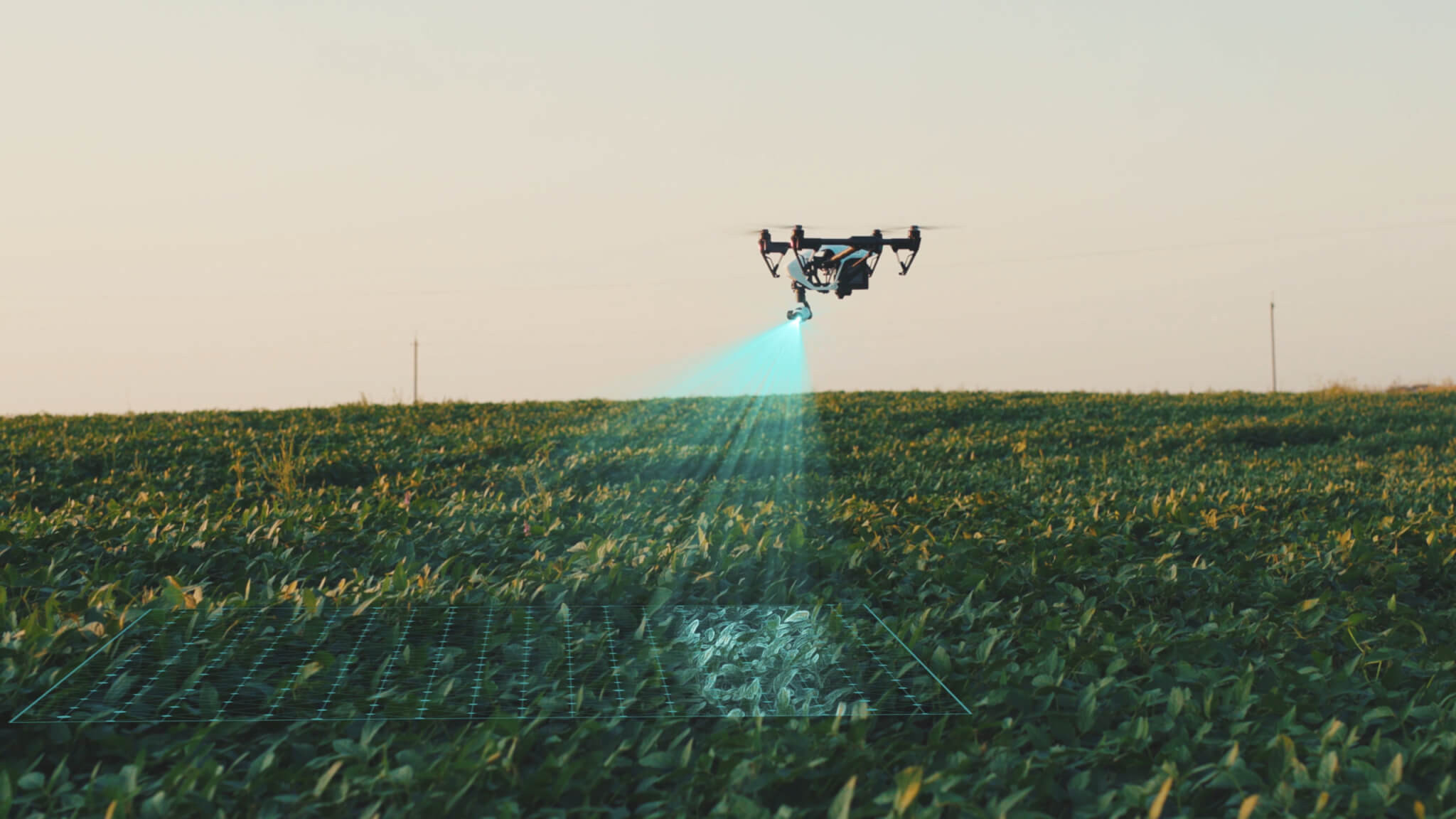 precision-agriculture-drone-scaled.jpg