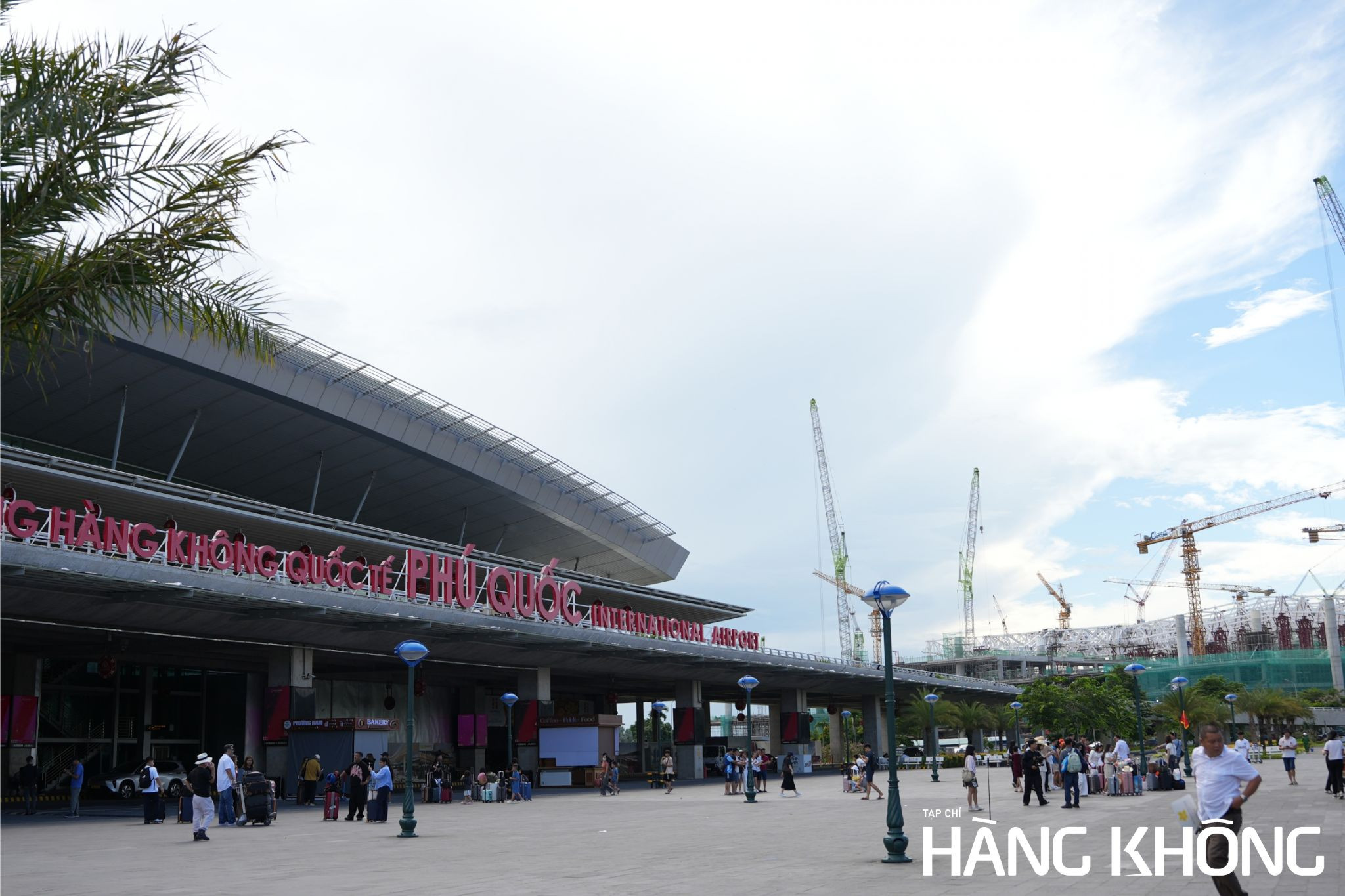 t1111.jpg