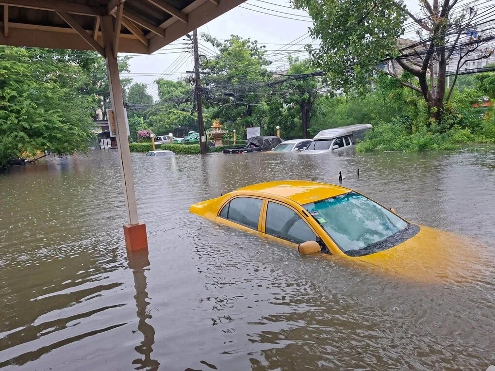 lu-lut-o-bangkok-1-jpeg-179039-7279-9540-1790397104.webp