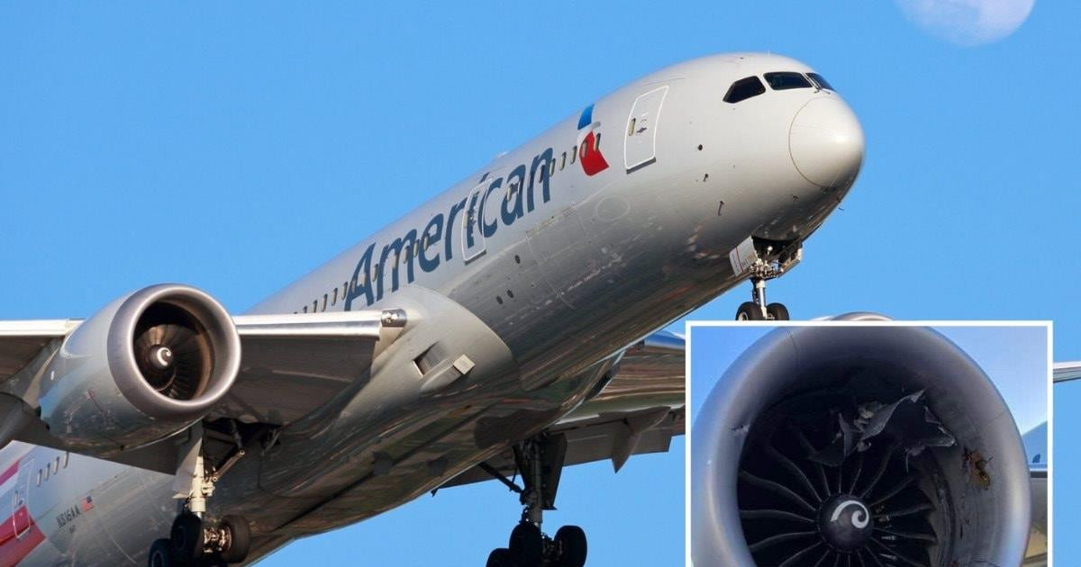 Động cơ Boeing 787 Dreamliner 'nuốt chửng' container hàng hóa
