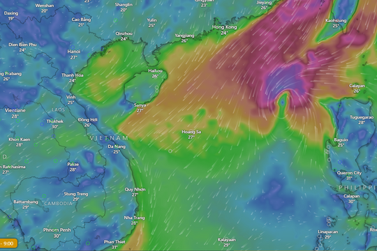 Bão Man-yi vào Biển Đông không ảnh hưởng 2 FIR Việt Nam