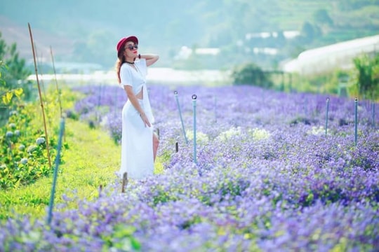 Cảng hàng không Liên Khương sẵn sàng cho Festival Hoa Đà Lạt 2024