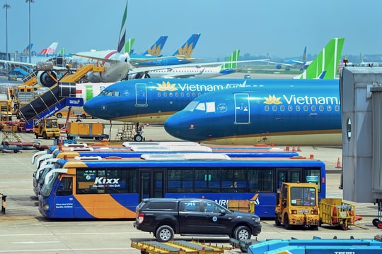 Cục Hàng không đề xuất tăng tần suất xe bus, taxi phục vụ Tết Nguyên đán 2025