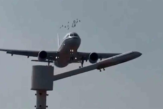 Máy bay Air China đụng phải đàn chim trời khi hạ cánh tại sân bay Hạ Môn