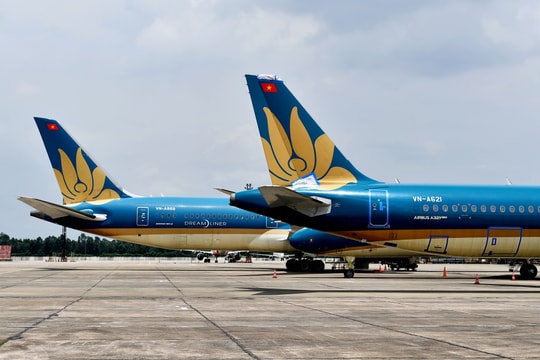 Nhiều hãng bay Việt Nam tăng đội tàu, mở hàng loạt đường bay mới ngay đầu năm