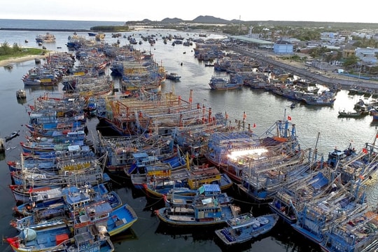 Đề xuất làm đường cao tốc kết nối sân bay Long Thành – Hồ Tràm