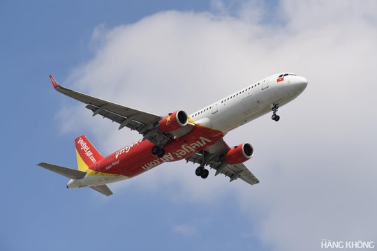 Cục Hàng không yêu cầu Vietjet đảm bảo công tác phục vụ mặt đất tại Tân Sơn Nhất