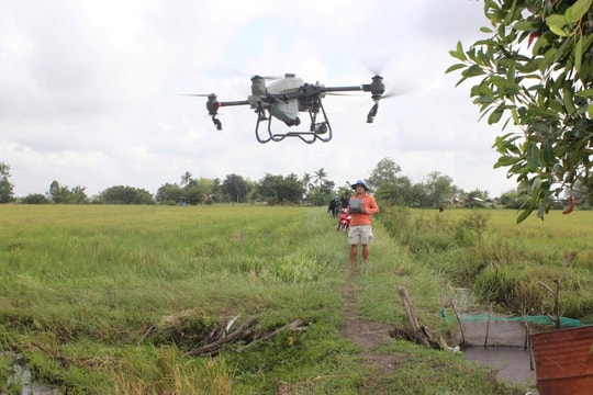 Drone không còn được “bay tự do” trên đồng ruộng